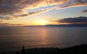 Shearwaters - Sounds Of The Sea